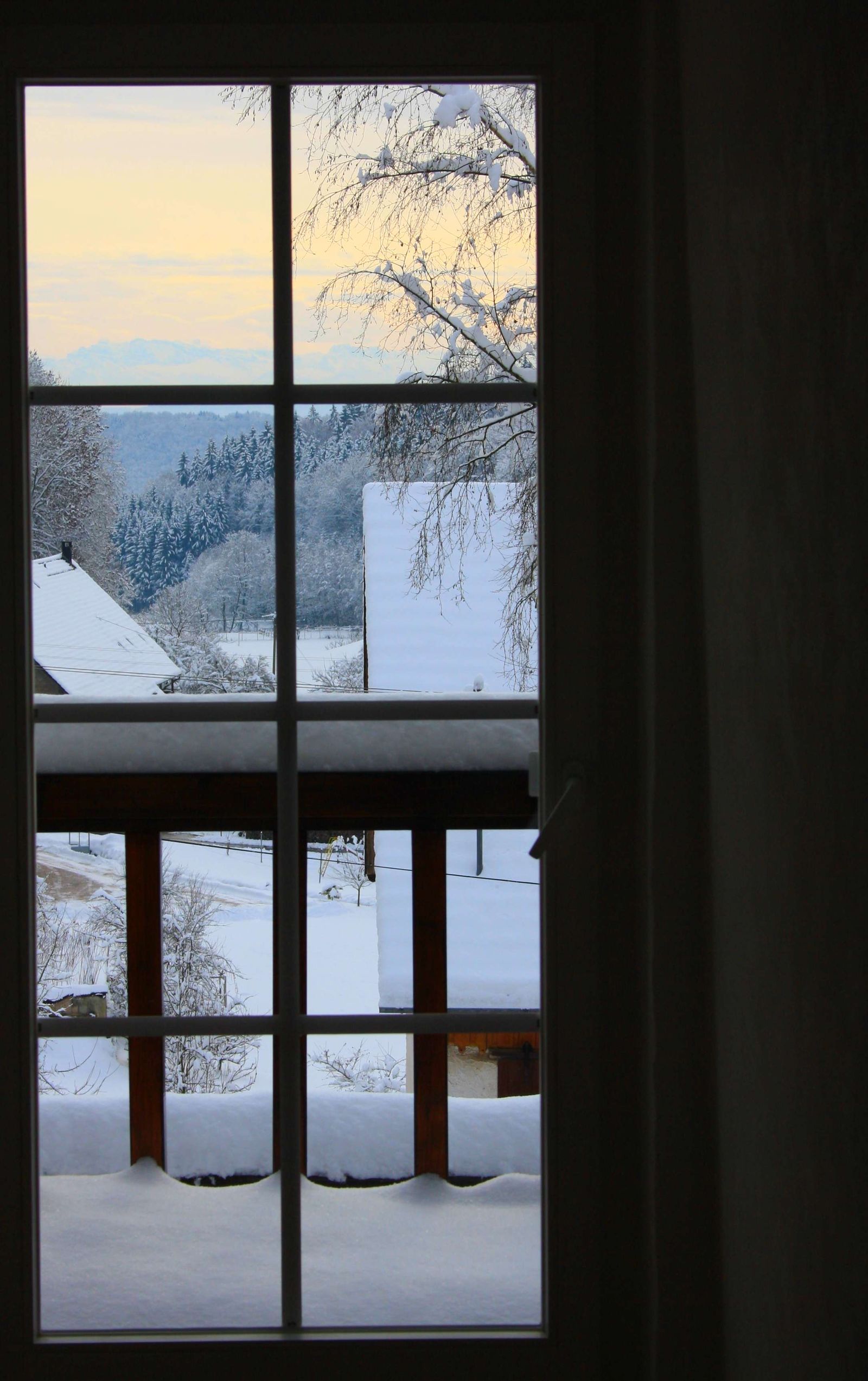 Blick aus der Küche